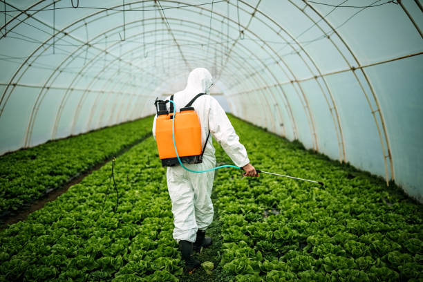 Best Best Pest Control Companies  in Independence, OR