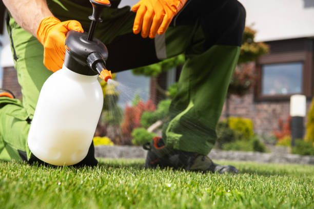 Best Termite Control Services  in Independence, OR