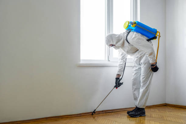 Best Mosquito Control Services  in Independence, OR