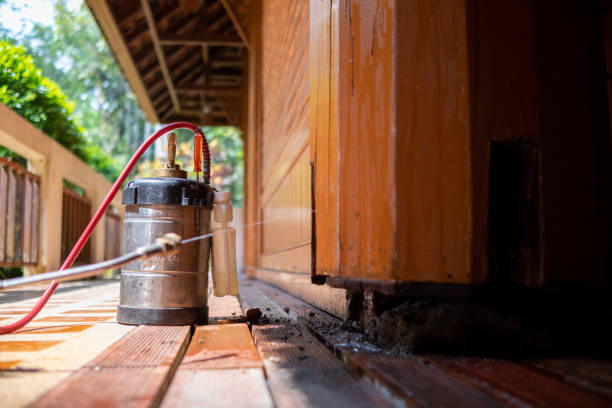 Best Local Pest Control Services  in Independence, OR