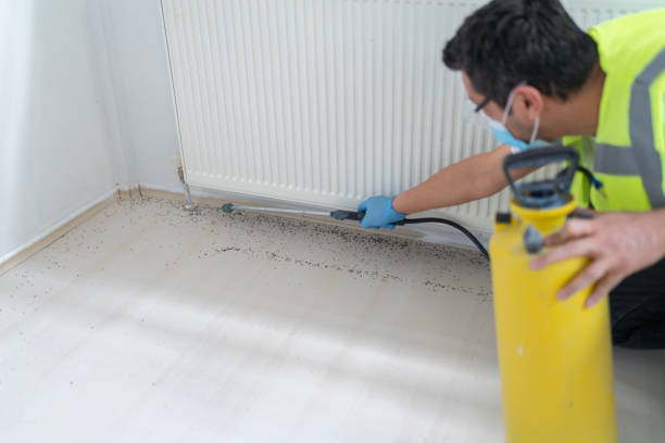 Best Rat Extermination Near Me  in Independence, OR